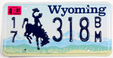 A single classic 2001 Wyoming passenger car license plate for sale by Brandywine General Store from Campbell County