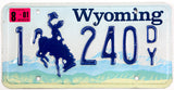 A single classic 2001 Natrone County Wyoming passenger car license plate for sale by Brandywine General Store in very good plus condition