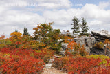 An original premium quality art print of Rock Walk to Summit of Cliff in Dolly Sods WV