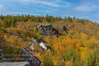 An original premium quality art print of Small Rock Ledge in Middle of Fall Colors in Dolly Sods WV for sale by Brandywine General Store