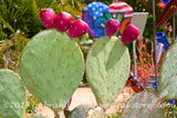 art print of prickly pear apple cacti among Lover garden sculpture and bottle trees