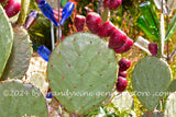 eclectic art print of prickly pear apple cacti and colorful bottle trees