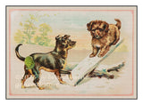 art print of an antique ad for Favorite Coffee with  pups