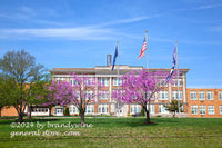 harrisonburg high school with redbuds and flags