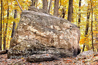 art print of large boulder in midst of yellow fall leaves at Seneca Rocks WV