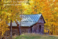 art print of log barn and bright yellow autumn leaves in WV