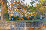 old chapel with stone cemetery wall and fall tree in Millwood VA art print