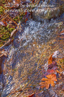 art print of slow moving waterfall with winter moss and autumn leaves