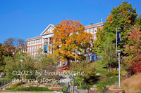 art print of Stalnaker Hall in midst of autumn trees WVU campus