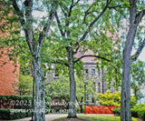 art print of Stewart Hall hidden in trees at WVU campus Morgantown WV