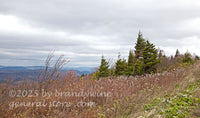 art print of stormy scene on spruce knob mountain highest peak in WV