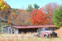 art print of junked Studebaker truck in front of old chicken house