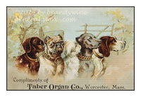 art print of Taber Organ Company with dogs from an antique ad