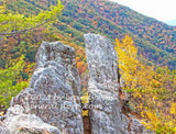 art print of twin peaks on top of Seneca Rocks WV in autumn