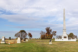 art print of US Army Regulars monument and Copse of Trees in Gettysburg National Park