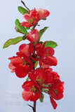 Red Flowering Quince Against Light Blue Sky Art Print