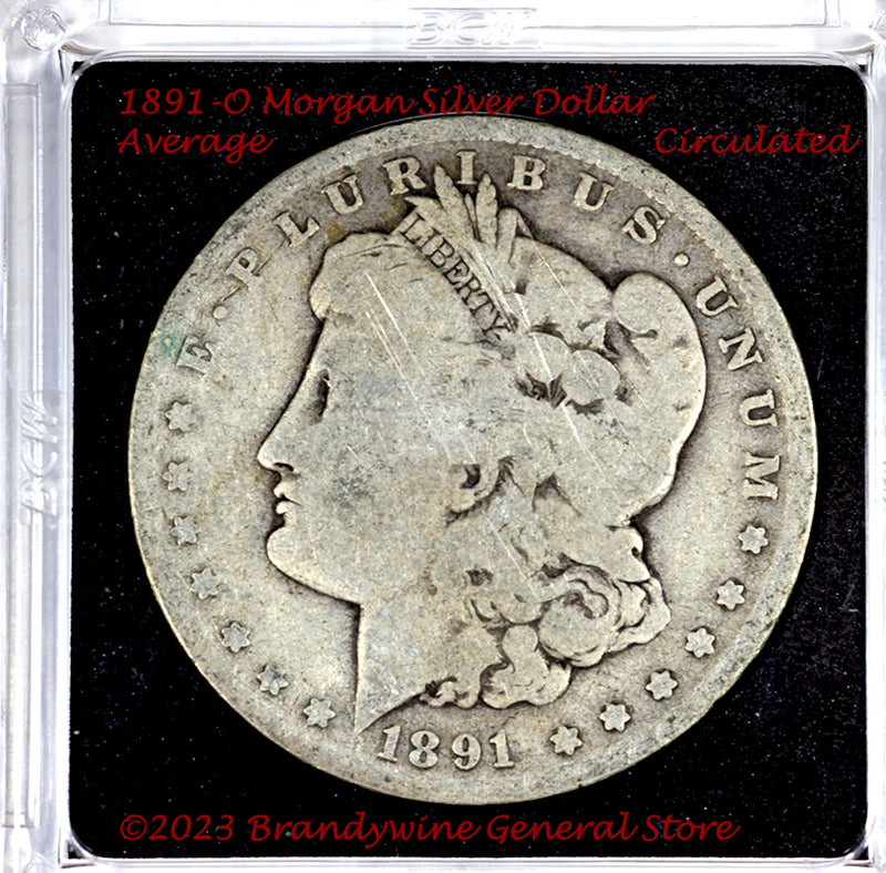 Morgan Silver Dollar Coin (Cull)