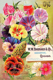 W. W. Barnard 1898 Seed Catalog cover art print