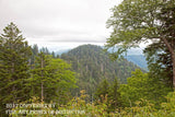 An archival premium Quality Print of a Rounded Knob in the Smokey Mountain National Park for sale by Brandywine General Store