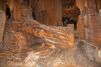 art print of Fallen Timber in Luray Caverns Virginia