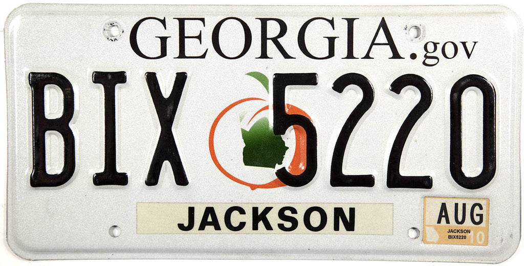 2010 Georgia License Plate | Brandywine General Store