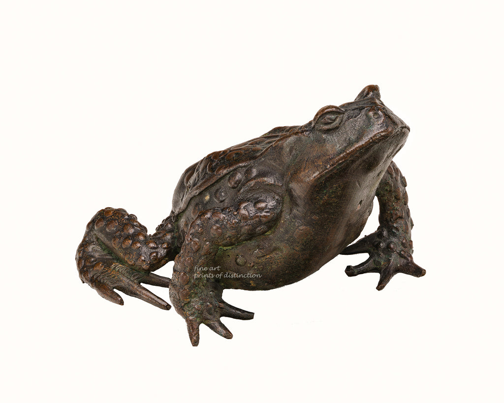 Paduan - Early 16th Century Sculpture of a Toad art print | Brandywine ...