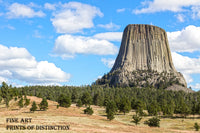 Devil's Tower in a Field of Evergreens Art Print