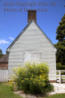 Dill at the Kitchen of Benjamin Powell in Williamsburg VA art print