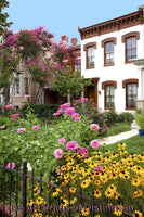 Flower Garden in Front of Row Houses art print