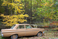 Ford Falcon Setting Beside a Swinging Bridge in the autumn woods art print