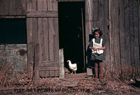 Little Girl Gathering Eggs in the Hen House from 1940 photograph