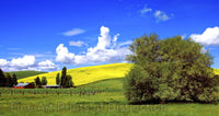 Farm Fields in Idaho Art Print