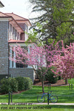 James Madison University Jackson Hall and Bicycle Art Print