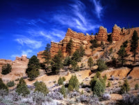 Dixie National Forest the Red Canyon in Utah art print