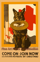 World War I Poster Join Red Cross with Dog Holding Hat art print