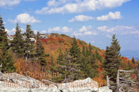 An Art Print of Rocks, Fall Colored Trees and Spruce Snags on Dolly Sods