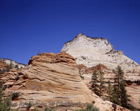 Zion National Park Sandstone Cliffs Rising in the Air art print