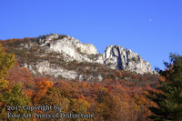 Seneca Rocks WV Framed by Trees and Moon art print