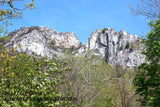 Seneca Rocks Framed with Viburnum and Trees Art Print