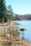 Western Shoreline of Spruce Knob Lake Art Print