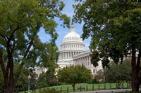 Art Print of United States Capitol Building Framed with Trees in DC