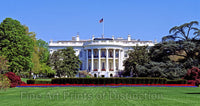 The White House in Washington DC with blooming spring flowers Art Print